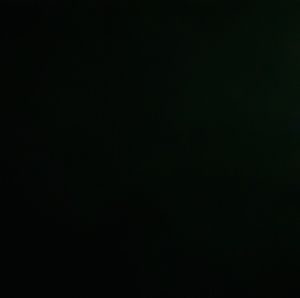 Meet your Posher, Kenny